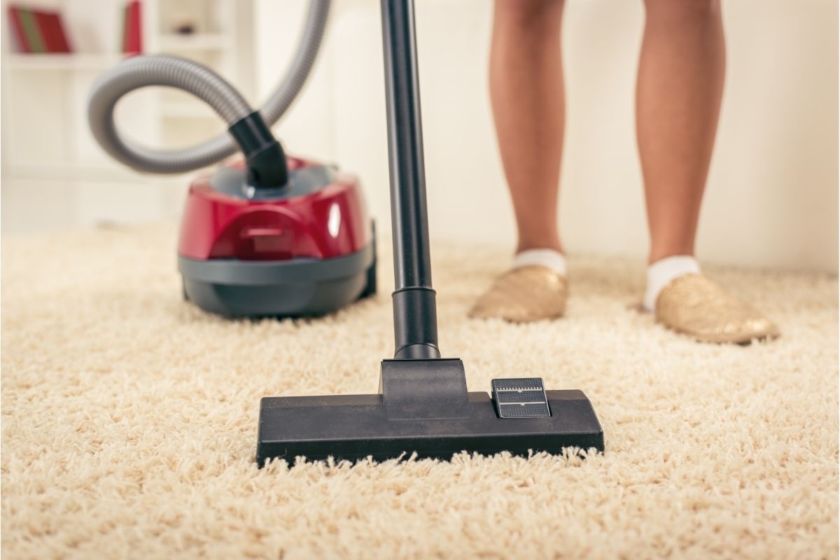 Best Vacuums for High Pile Carpet