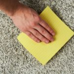 How-To-Get-Mold-Out-Of-Carpet